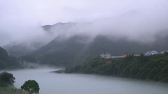 Bandari,音乐短片 - Morning Air