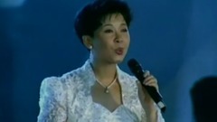 董文华 - 长城长