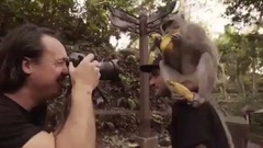 Justin Bieber,Zedd,DJ Snake - Let Me Love You