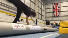 影视原声 - 蜘蛛侠:英雄归来