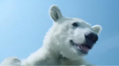 影视原声 - 电影<北极大冒险>中文版终极预告片1.