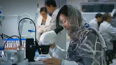 影视原声 - 冲天火