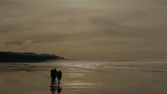 影视原声 - 猩球崛起:终极之战