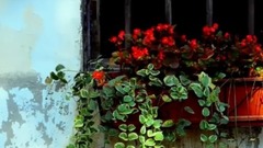 皓天 - 一杯乡茶