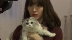 AKB48 - 週刊スピリッツ 2017 No.04-05 Making