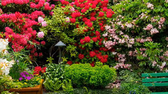 加拿大布查德花园