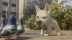 影视原声 - 电影<闪电狗>DVD预告片