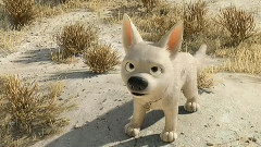 影视原声 - 电影<闪电狗>拍摄花絮之Dog's Best Friend