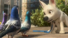 影视原声 - 电影<闪电狗>拍摄花絮之Get That Dog