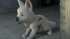 影视原声 - 电影<闪电狗>电视宣传片Unbelievable