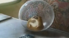 影视原声 - 电影<闪电狗>中文版预告片