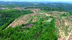 四川 巴中市全景