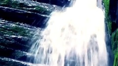 奇然 - 【奇然】殿书