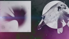 Linkin Park - Jornada Del Muerto