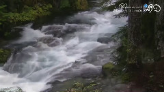 Giovanni Marradi - Dreamers