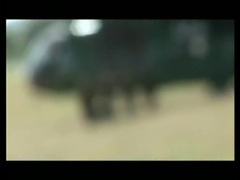 Брат мой десантник