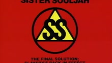 Sister Souljah - The Final Solution; Slavery's Back In Effect