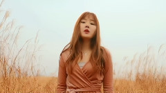 你永远不会知道