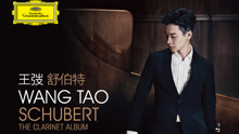 王弢 - 王弢 - 舒伯特小夜曲