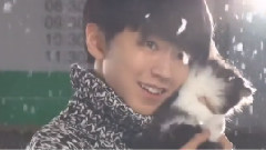 王俊凯 - 萌萌哒