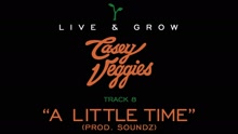 Casey Veggies - Live & Grow track by track Pt. 8 - 