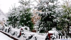 Белый снег. Виктор Королев. Автор ролика Наталья Бурлакова