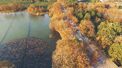 民乐群星,风景,音乐短片,轻音乐,乐动城市 - 鸟瞰杭州 Aerial Hangzhou