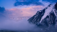 民乐群星,风景,音乐短片,轻音乐 - 绚丽多彩的大自然:群鸟