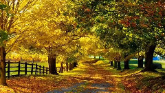 РЯБИНА авт Людмила Огнева