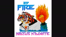 Hiatus Kaiyote - By Fire (Audio)