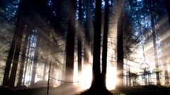 聆听音乐之美 清晨