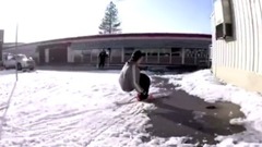 外国炫酷小哥在冬天里踩着雪板在扶手上玩滑板