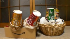 Kolacja wietnamczyka