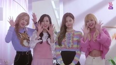 BLACKPINK - Channel+ Open预告