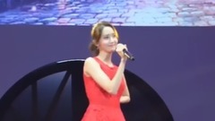 德寿宫石墙路的春天