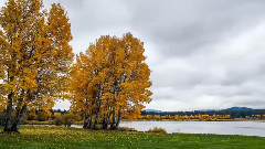 Fall Foliage At Black Butte Ranch Oregon