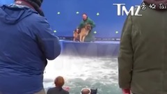 影视原声 - 《一条狗的使命》争议泄露片段