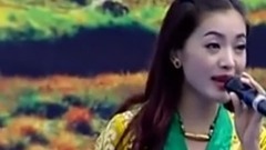 民乐群星 - 母亲的心愿