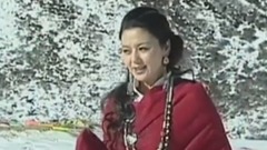 民乐群星 - 吉祥家园