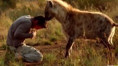 Запеклі гієна групи зустрілися ця людина все змінилося