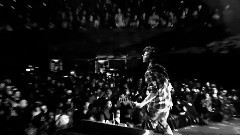 Sportfreunde Stiller - Auf Jubel Gebaut