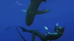 Meet SCUBAPRO's Deep Elite