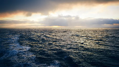 Shelter From The Storm