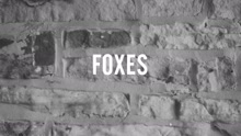 Foxes - Glorious (Acoustic)