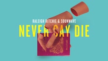 Raleigh Ritchie,Sounwave - Never Say Die (Audio)