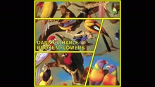 Danny L Harle - Broken Flowers (Audio)