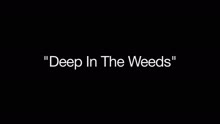 Bob James,David Sanborn - Deep in the Weeds