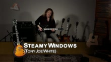 Cours de guitare - Steamy Windows (rendu célèbre par Tina Turner)