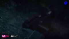 Cheetah - BLURRED LINES 预告版