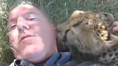 Чоловік спав у траві